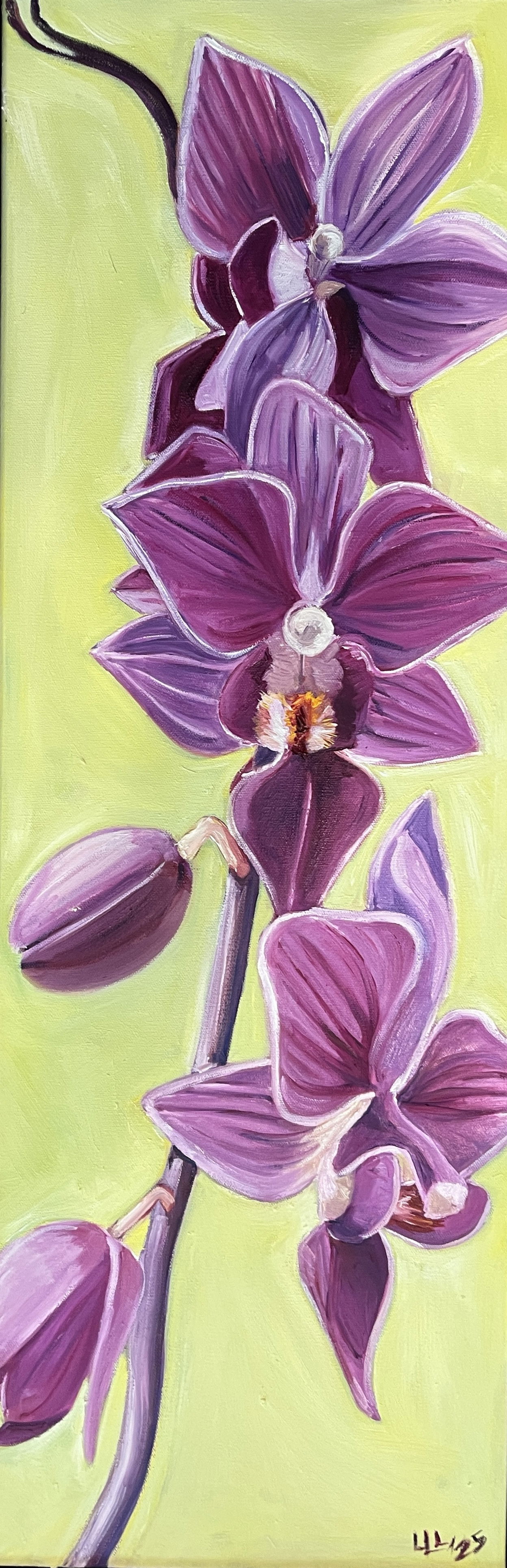 Untitled Vertical Orchid II
