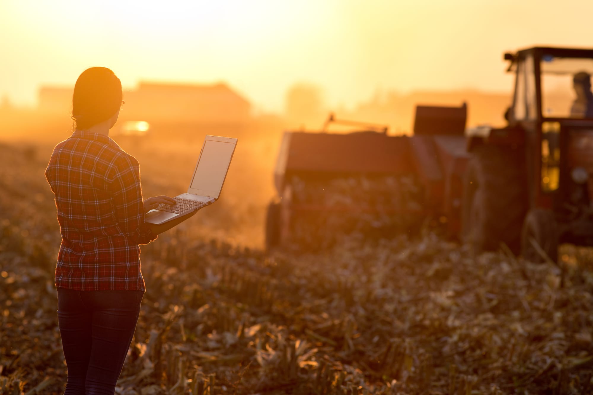 Statutul Cooperativei Agricole