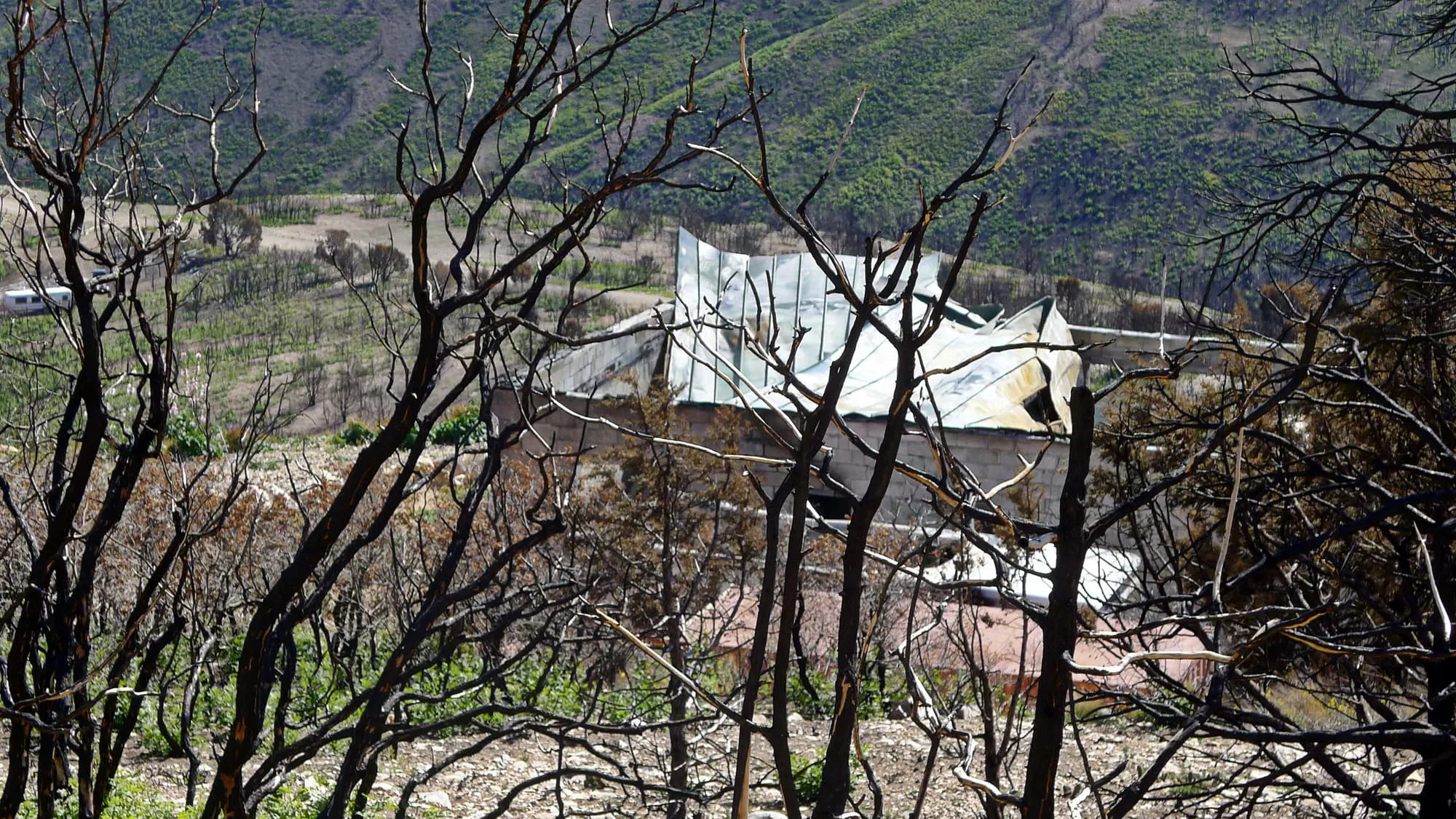 Wildfire Experience: