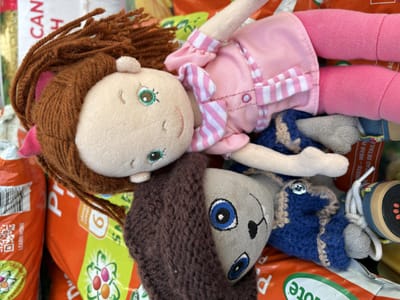 Henry and Cindy’s big adventure on World Environment Day Thursday 5th June 2025