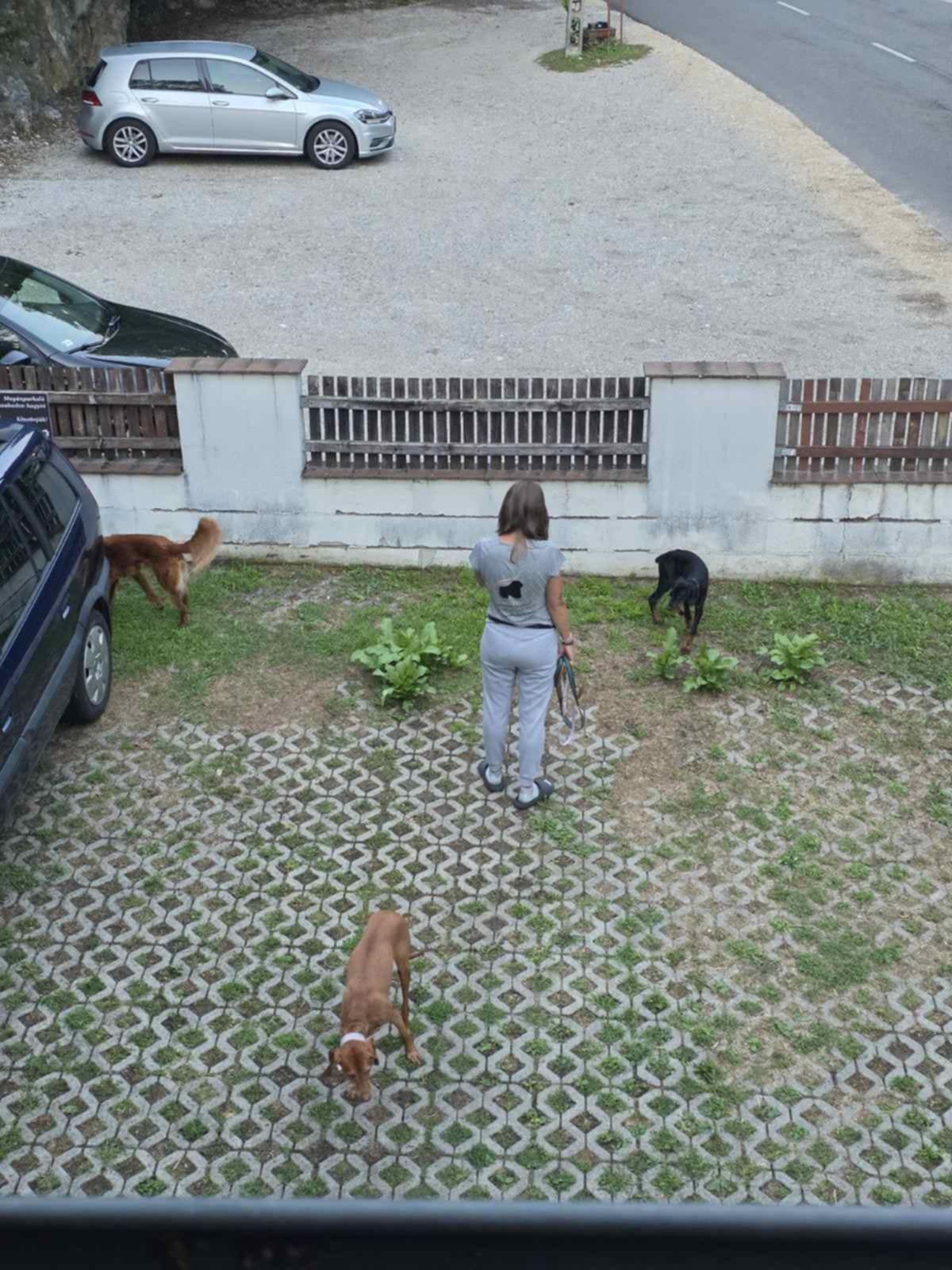 Zárt kert a kutyusoknak - Vadas Apartman