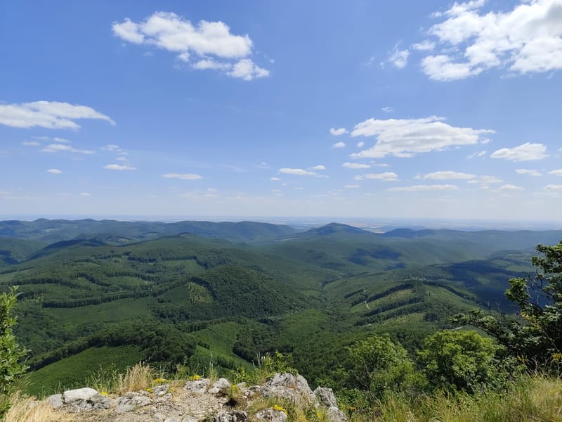 Tar Kő
