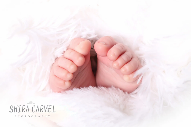 צילומי ניו בורן