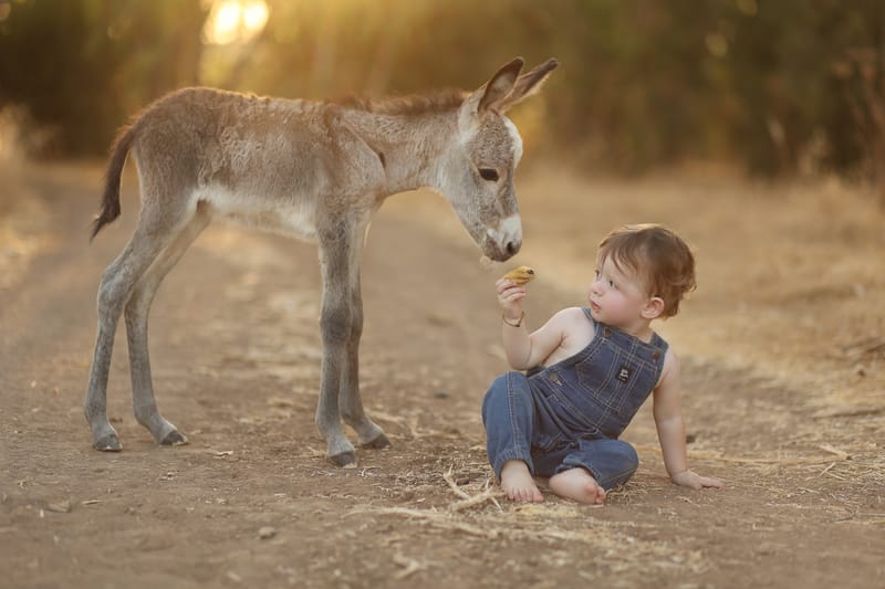 צילומי גיל שנה