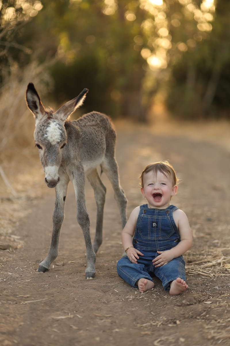 צילומי גיל שנה