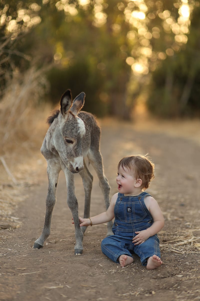 צילומי גיל שנה