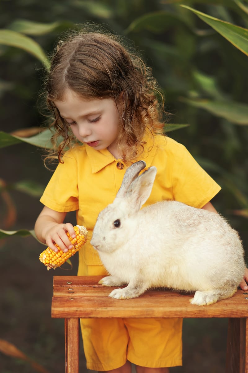 צילומי גיל 3