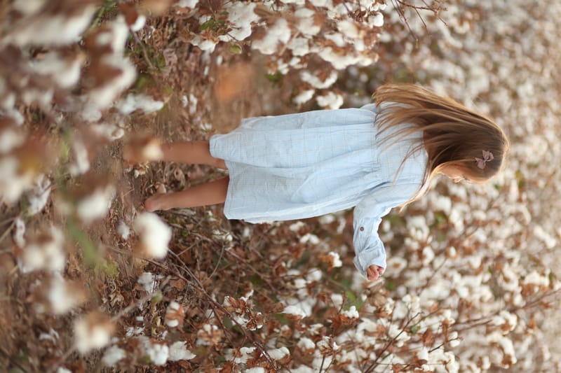 צילומי משפחה