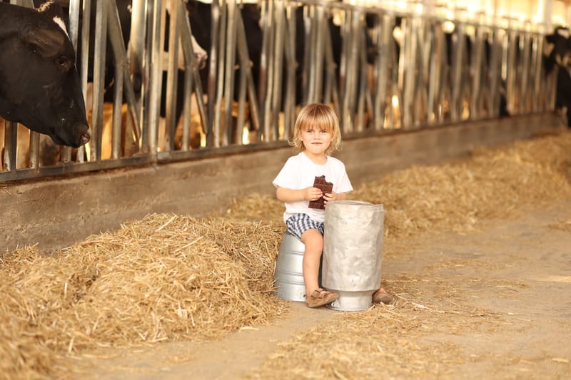 צילומי גיל 3