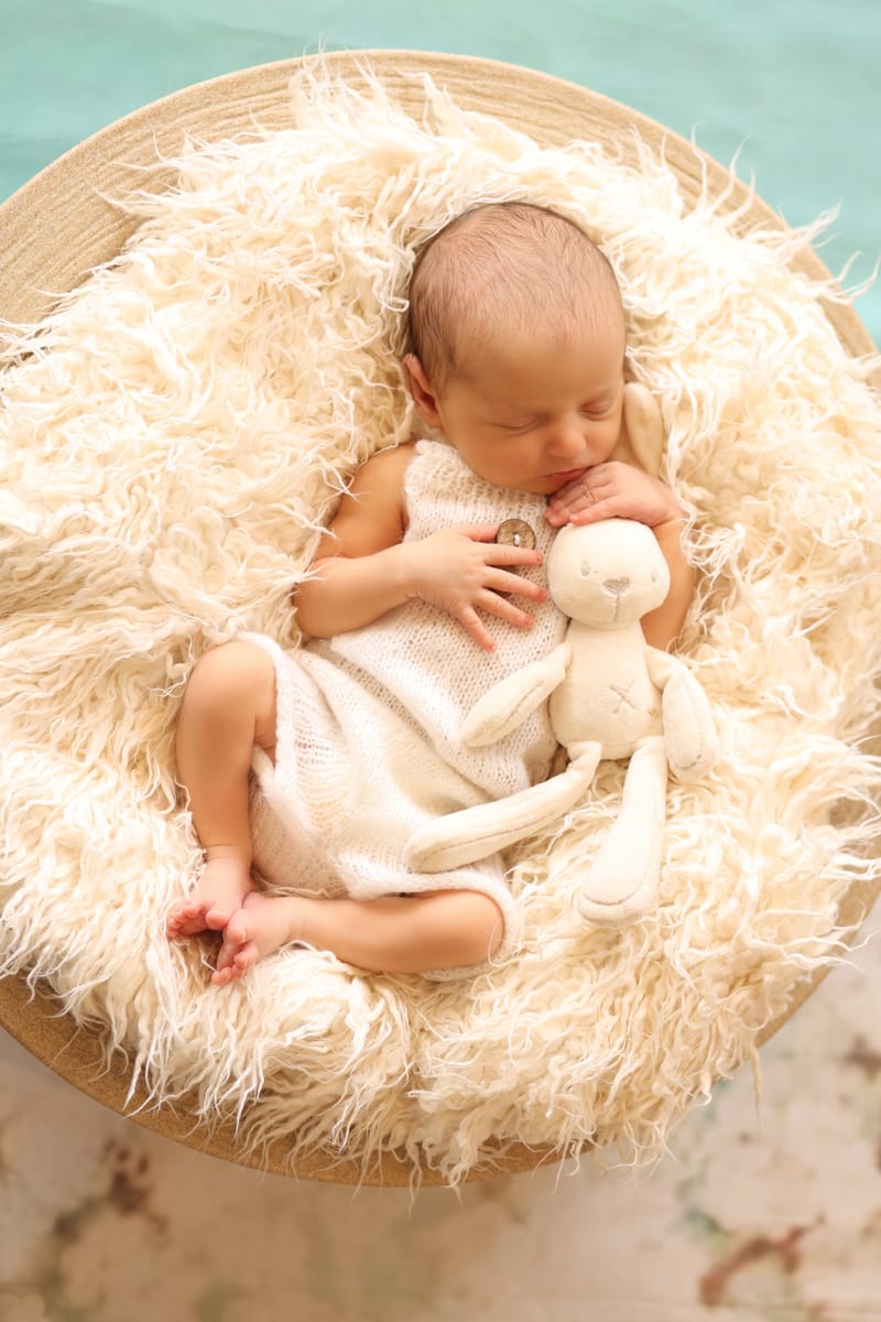 צילומי ניו בורן