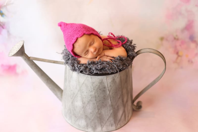 צילומי ניו בורן