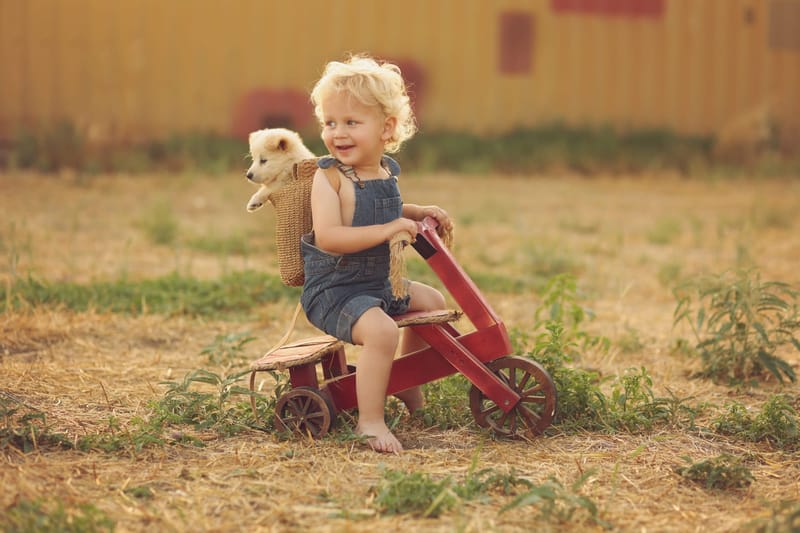 צילומי גיל שנה