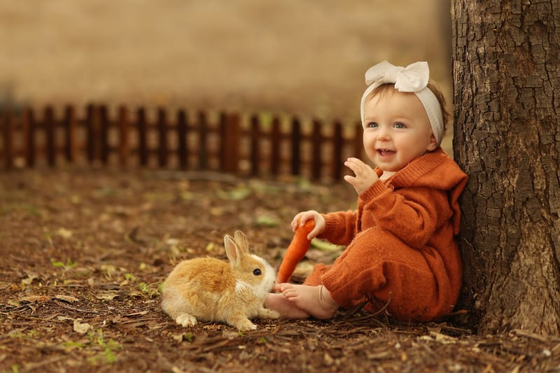 צילומי גיל שנה