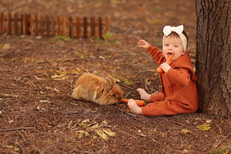 צילומי גיל שנה