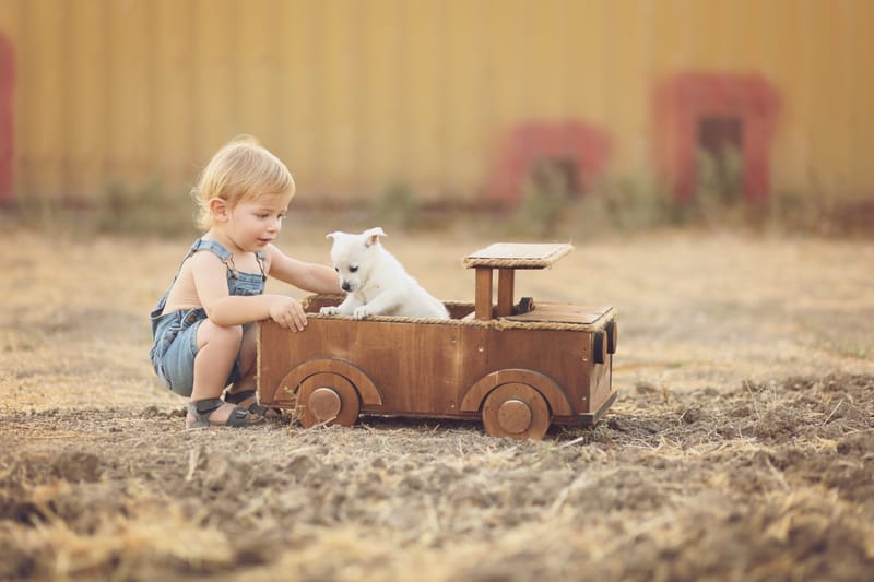 צילומי גיל שנה