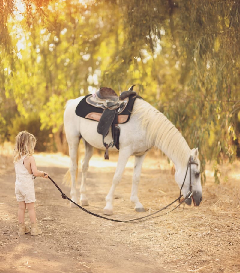 צילומי גיל 3