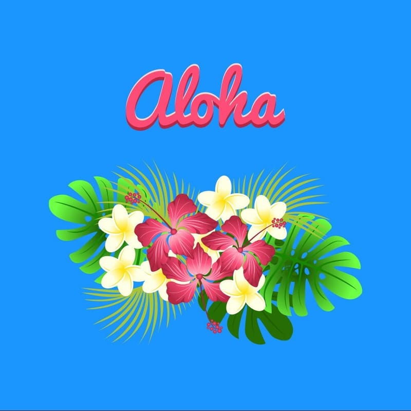 Aloha Winter Weekend Workshop
