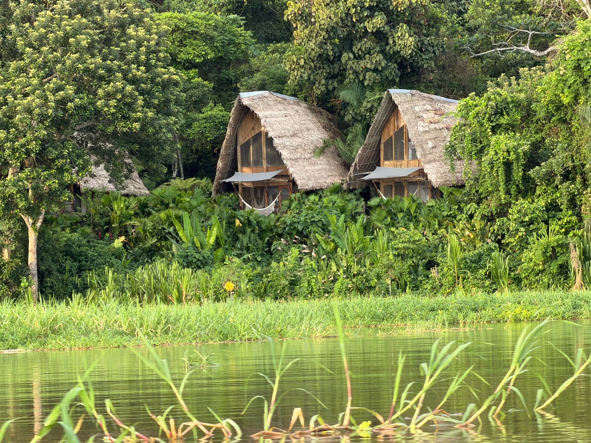 Awe, the Amazon, and the Co-Creative Process of Transformation