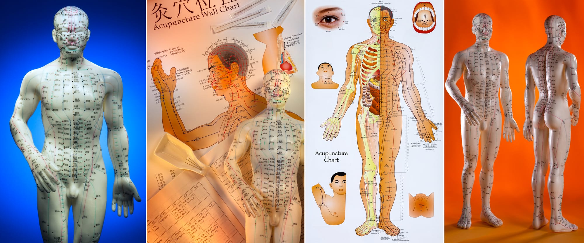 Are Meridians Finally Being Recognized by Science — Or Are We Finally Learning to See the Body Differently?