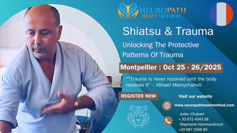 France, Montpellier - The Protective Patterns Of Trauma - Module 1