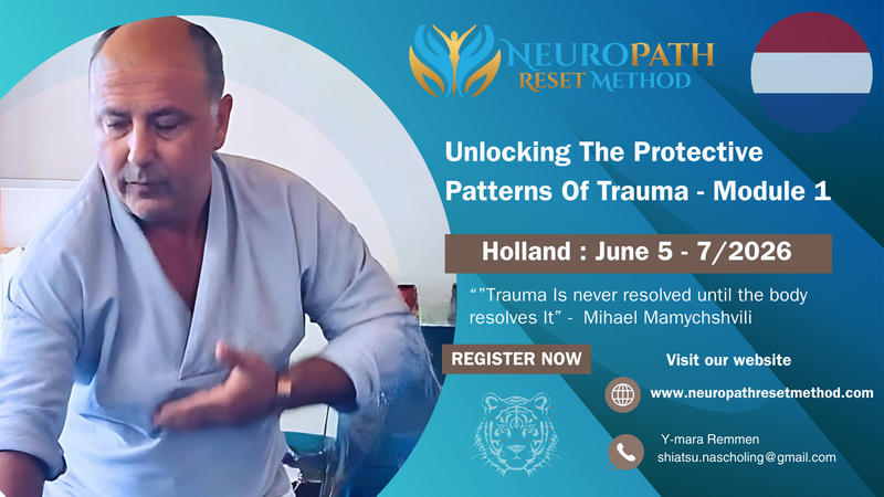 Holland - The Protective Patterns Of Trauma - Module 1