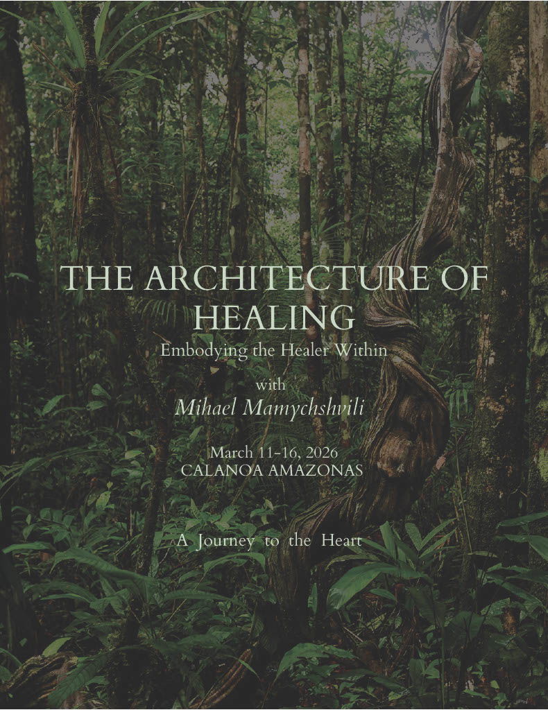 Architecture Of Healing - Calanoa Amazona - Colombia