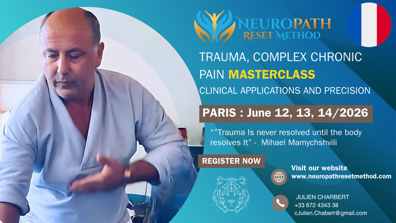 Paris - Trauma, Complex Chronic pain Masterclass - Creativity & Clinical Precision