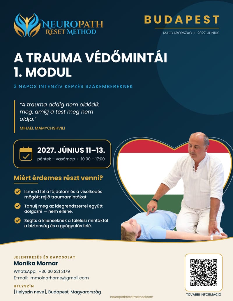 Budapest - The Protective Patterns Of Trauma - Module 1