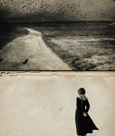 ŞİMDİ UZAKLARDA MISIN?/Meral Kutluğ İLSEVER