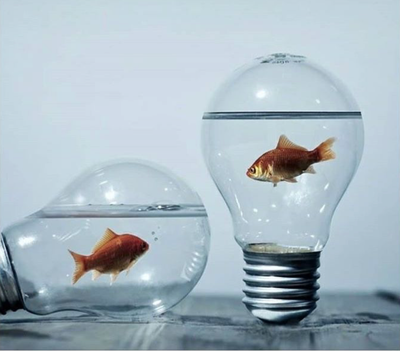 Mırıldandıklarım/Meral Kutluğ İLSEVER