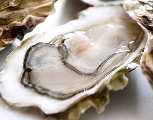 Fresh Oyster from Japan
