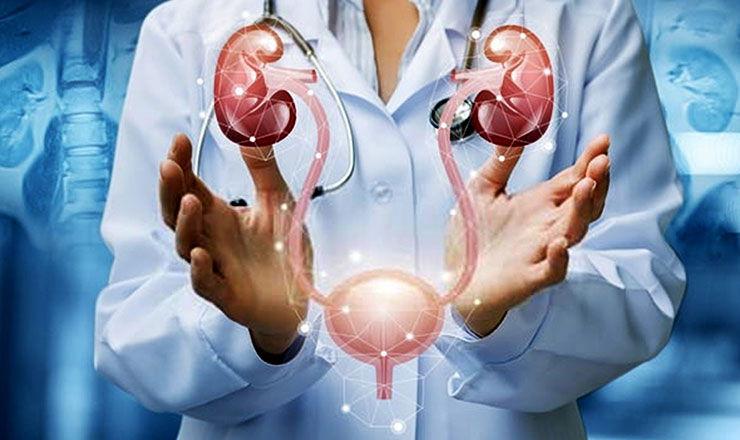 Problèmes urologiques chez l’homme : Pourquoi faire un check-up à Istanbul est une excellente option