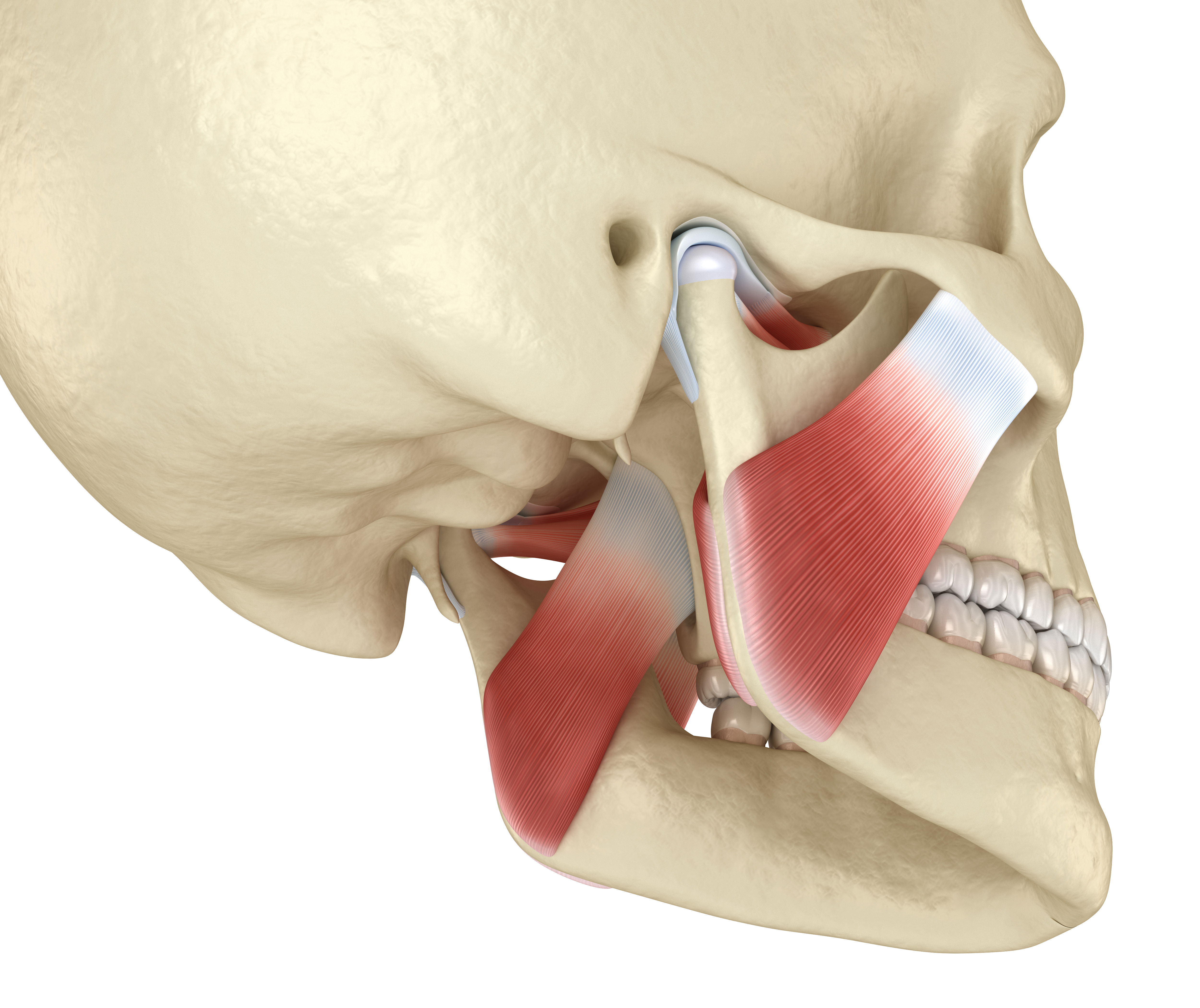chirurgie maxillofaciale