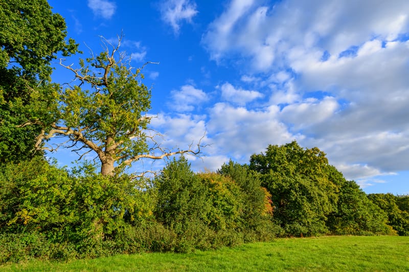 NATUR- UND LANDSCHAFTSSCHUTZ