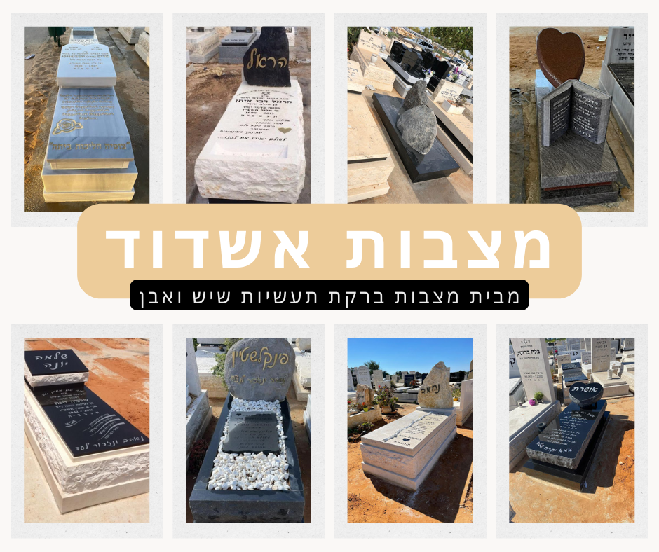 מצבות אשדוד אתר החברה