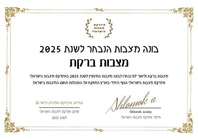 אודות ברקת מצבות image