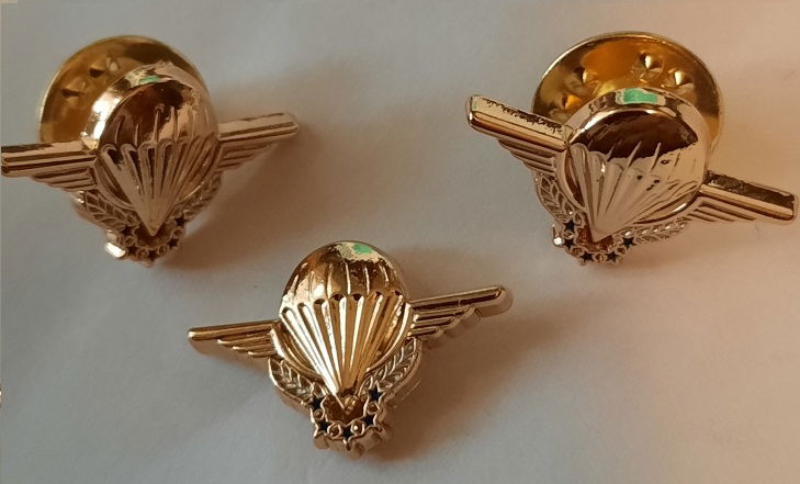 PIN'S BREVET CHUTEUR OPS