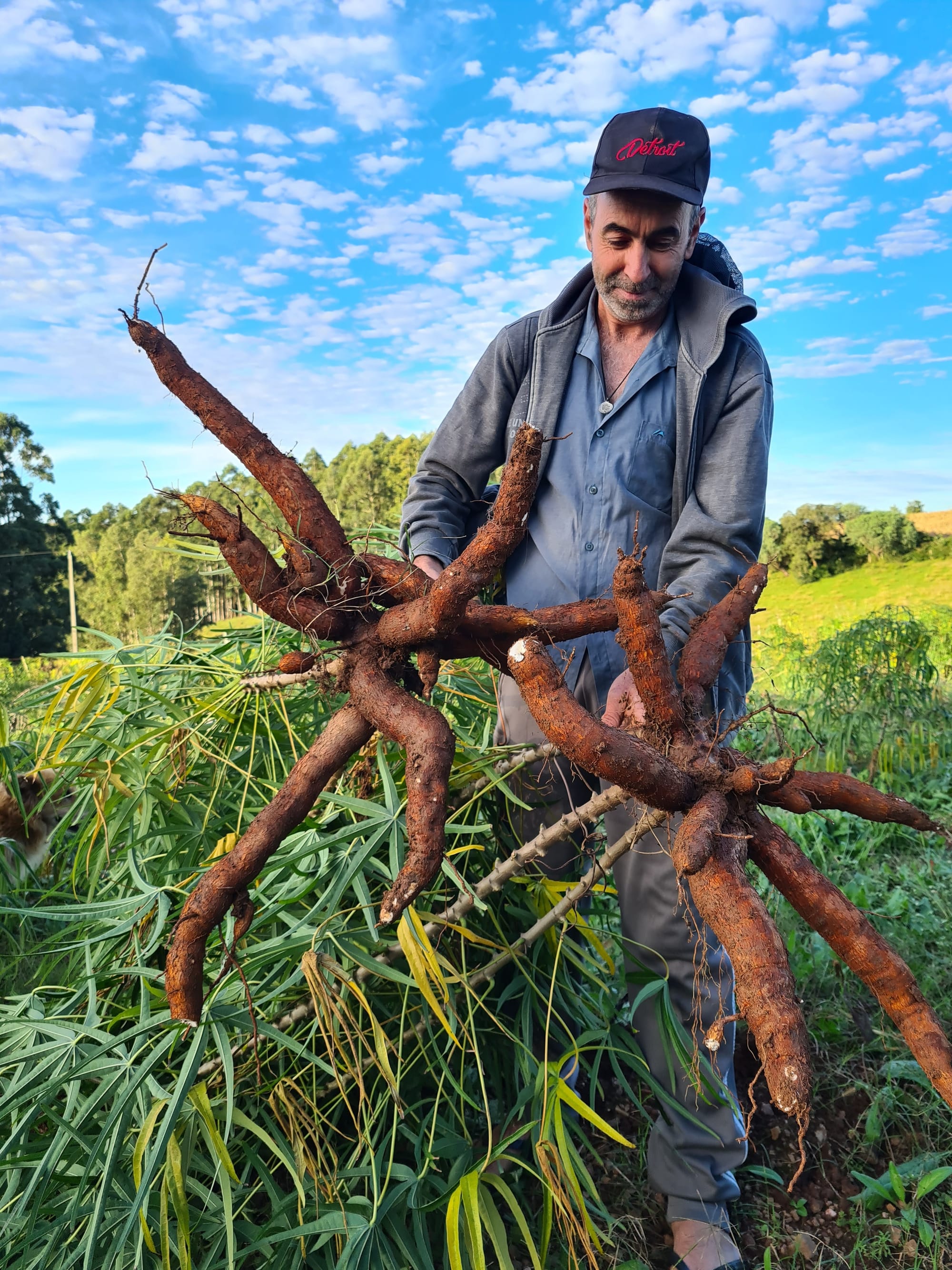 Vale-Feira: uma política pública que gera renda no campo e economia na cidade