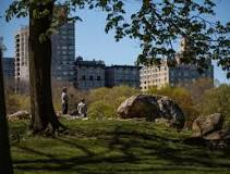 Before Central Park came Seneca Village, Black community ...