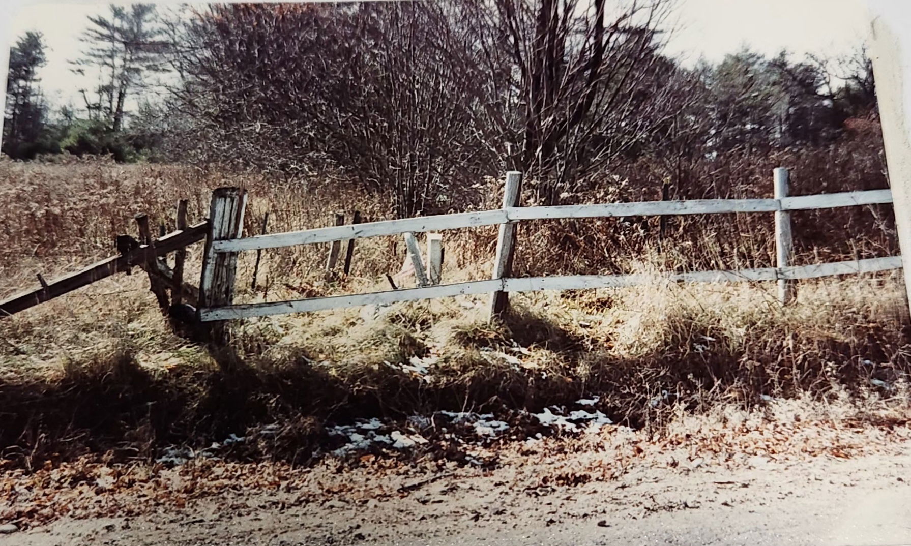Page Cemetery circa 1980