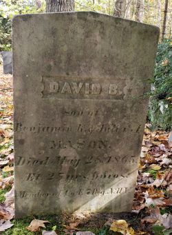 David Brown Mason