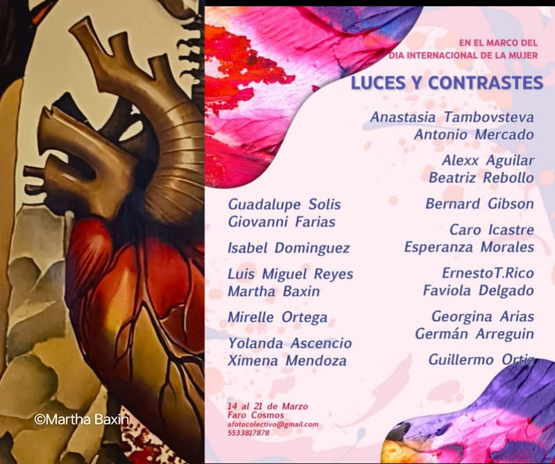 "Luces y contrastes"