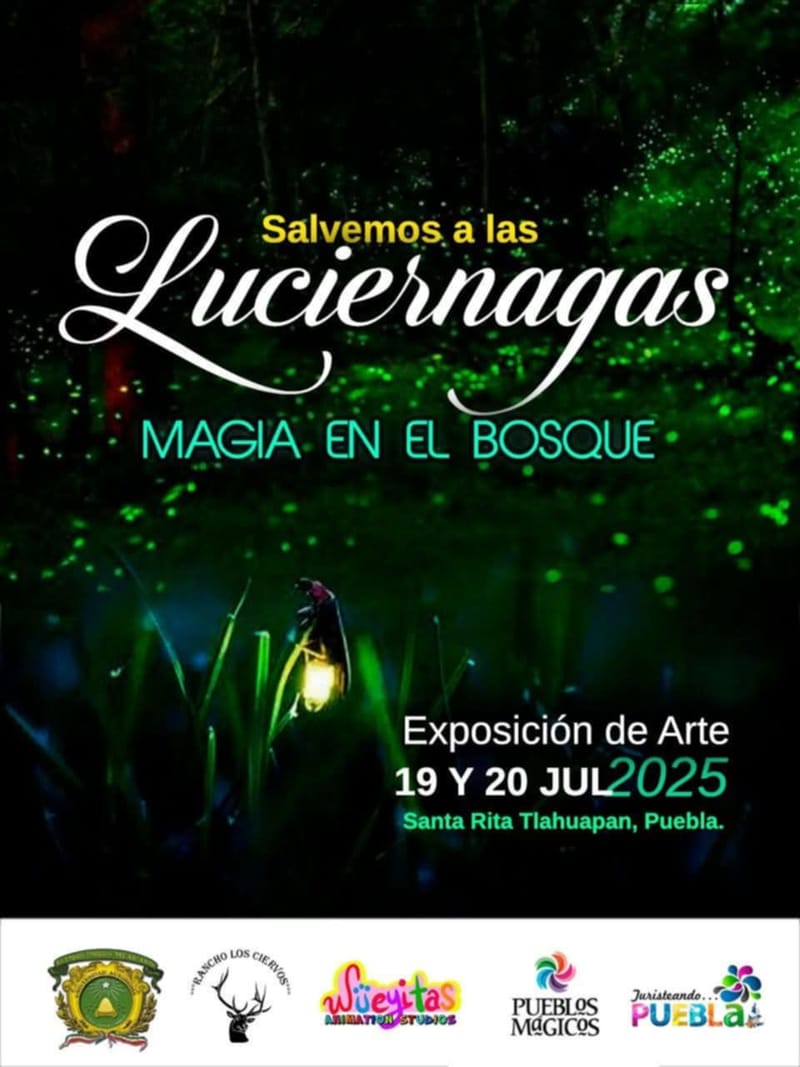 Salvemos a las luciérnagas