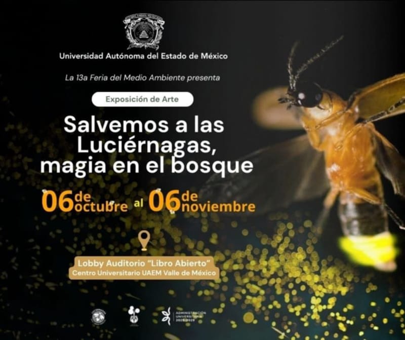 Salvemos a las luciérnagas