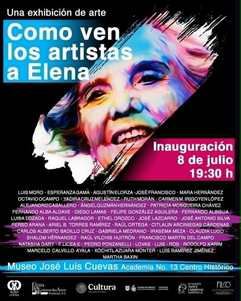 Como ven los artista a Elena