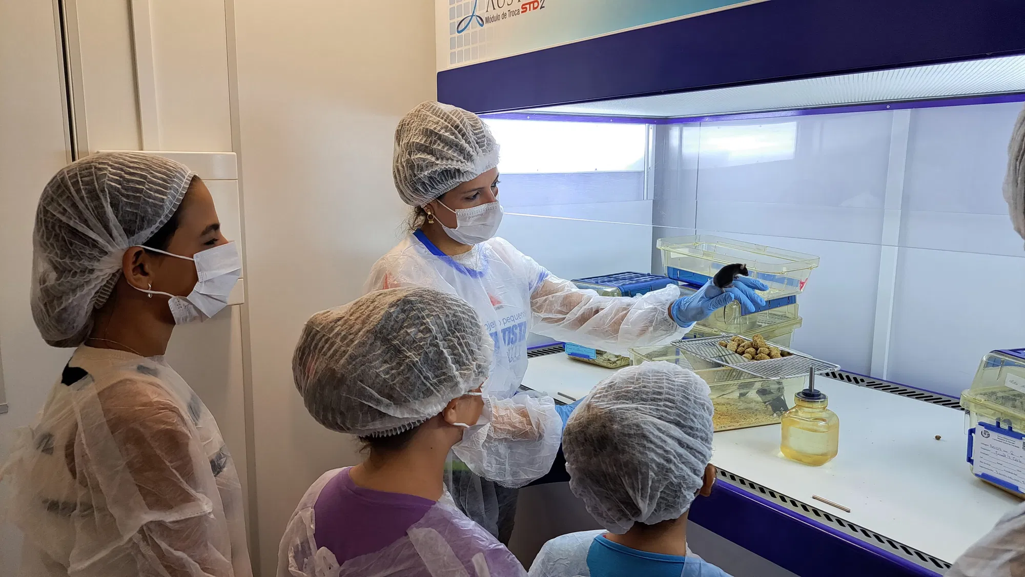 Projeto Pequenos Cientistas 1° Edição