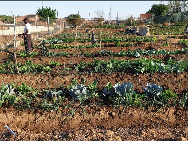 Marlboro Organic Food Garden Tour