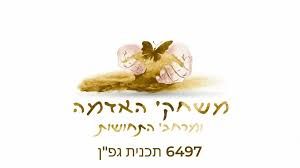 משחקי האדמה