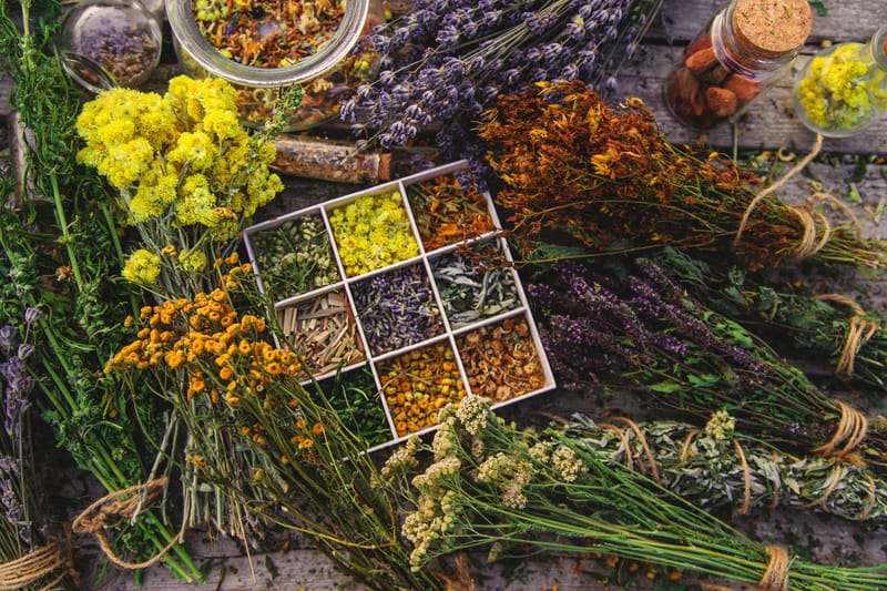 🌿 Traditional Herbal Support