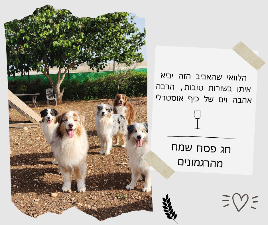 פסח 2025